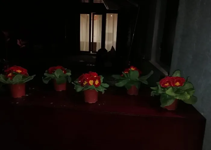 Calle Michelangelo 公寓 威尼斯