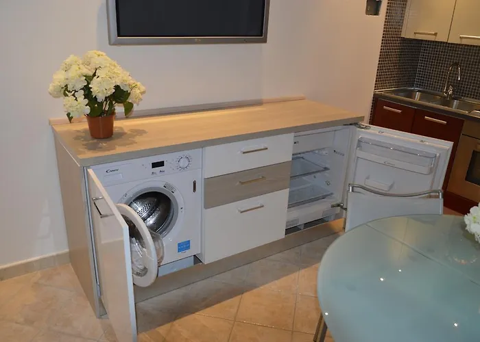 Calle Michelangelo 公寓 威尼斯